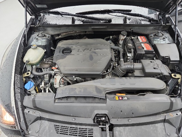 lotterental_213255147_2NW0i_7.jpg