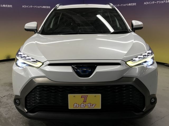 87f35ced18bdaae3c87f73b9c1651728.jpg
