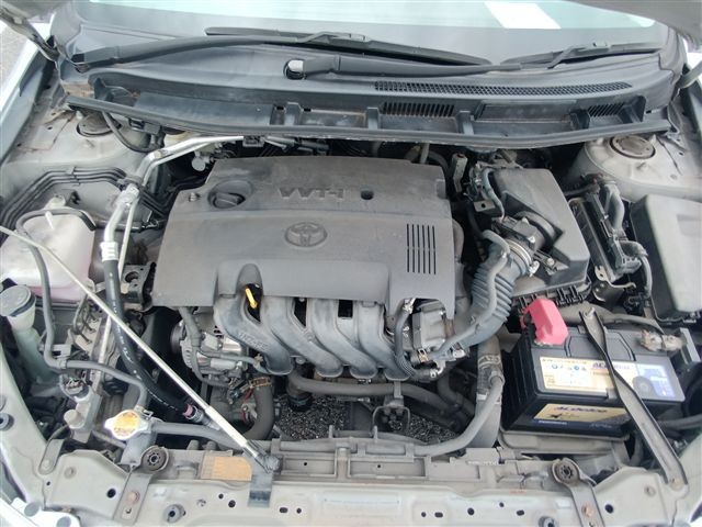 08.jpg