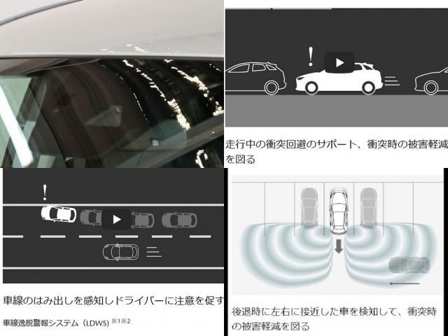 ac610109d66e004ef8a2c971daa5549c.jpg