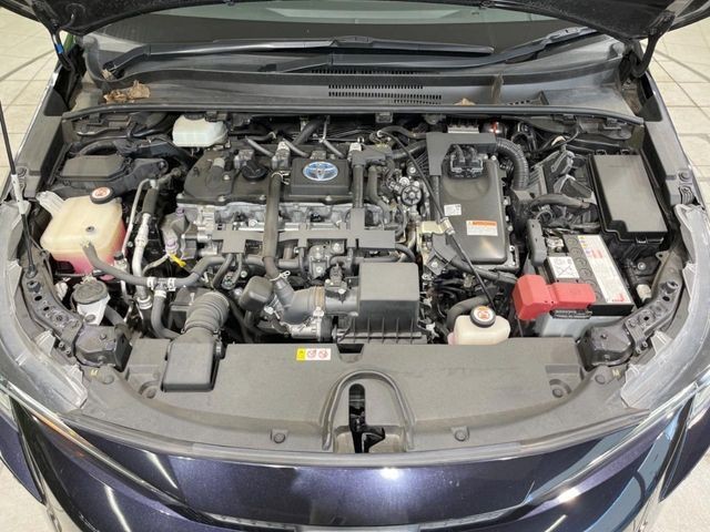 7bbdb278477480d3fe7756ae3c64638e.jpg