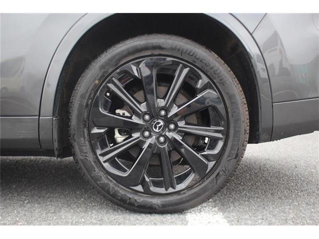 b5fd20dd9043ae02108cc410f260f647.jpg