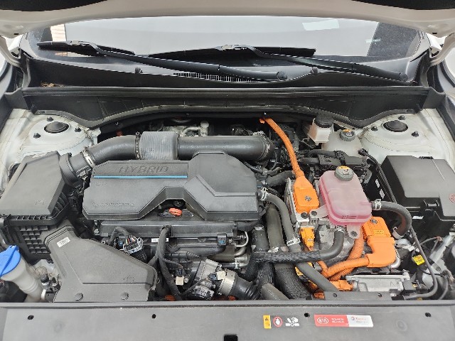 lotterental_103754534_x8jod_2.jpg