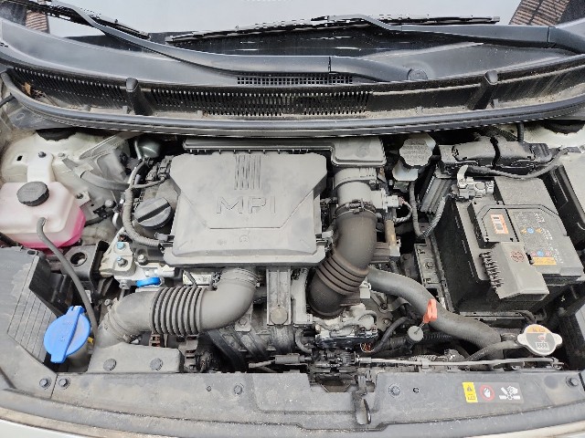 lotterental_095429402_kyliW_8.jpg