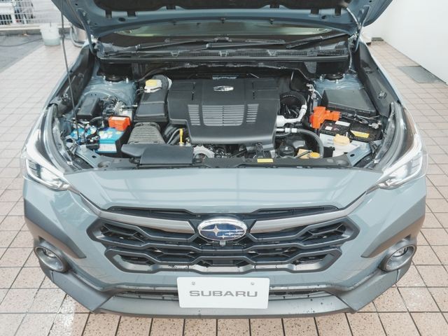 c5eb710f78de2404d1dd2abcd5e551e0.jpg