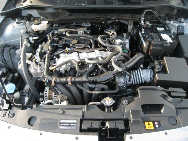 8fc9df6884a1576bf5b530f09cb5900c.jpg