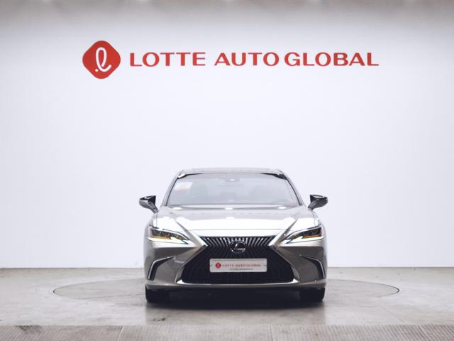 lotterental_211147873_2xZNV_1.jpg