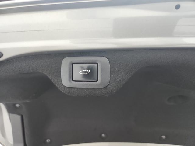 lotterental_211513350_Lhfbn_6.jpg