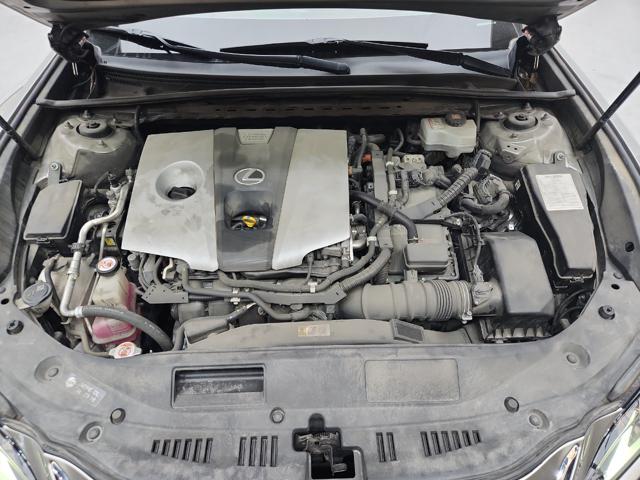 lotterental_211655719_MelfT_3.jpg