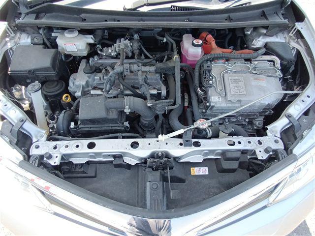 08.jpg