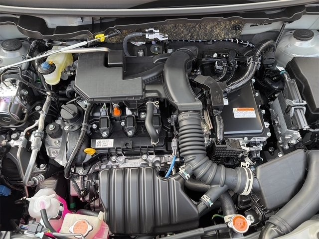 00d1c5292840f112a264984a69102532.jpg