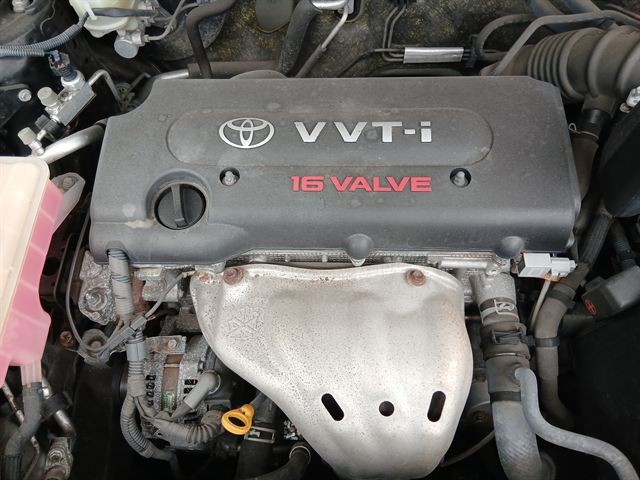 08.jpg