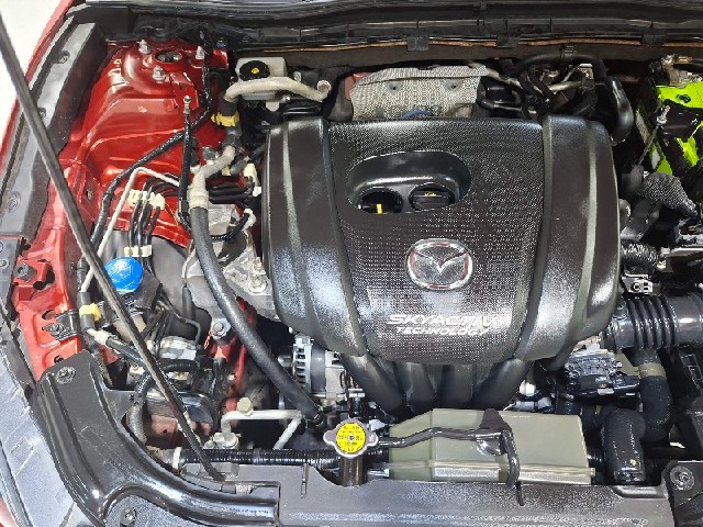 42172884c2799c0823daed94b53fca5e.jpeg
