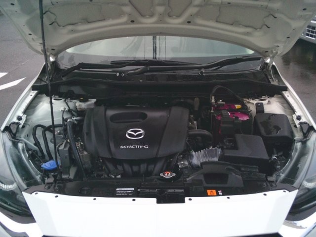 60ed3e579c5288efaa85cc9336d559c9.jpg