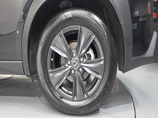 64edac3434a6fbe33471107e8e5eec5f.jpeg