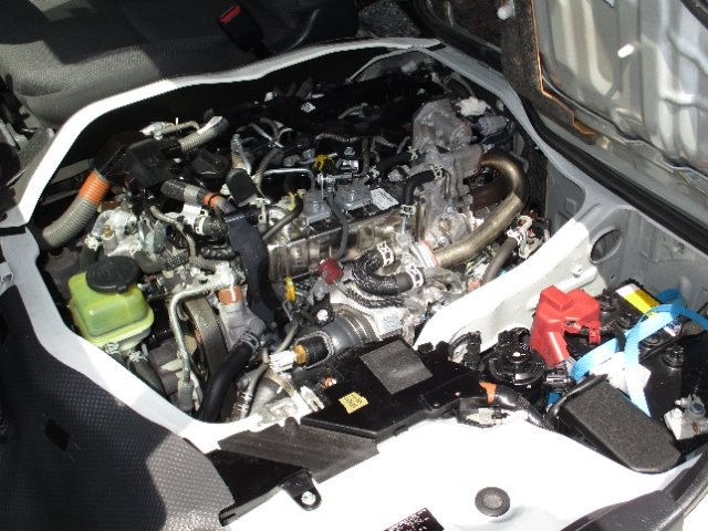 13f58bf555fd37d204f3abae6011826c.jpg