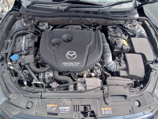 08.jpg