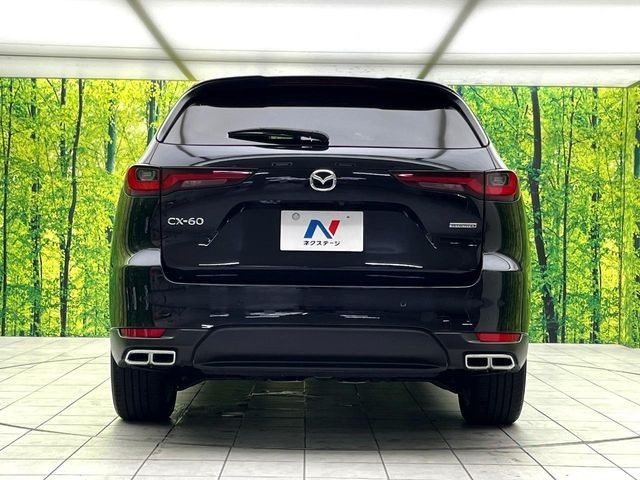 f3031beb1de976236c19c1f01de29b35.jpg