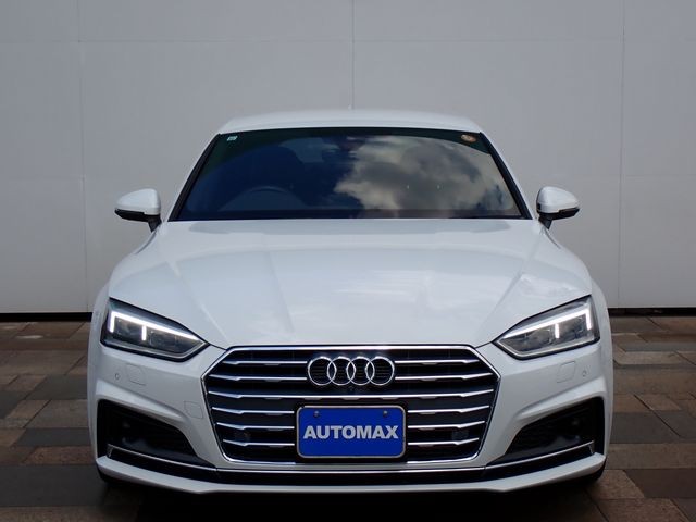 d921642ae8bf0fcfb0e3e7b9caced242.jpg