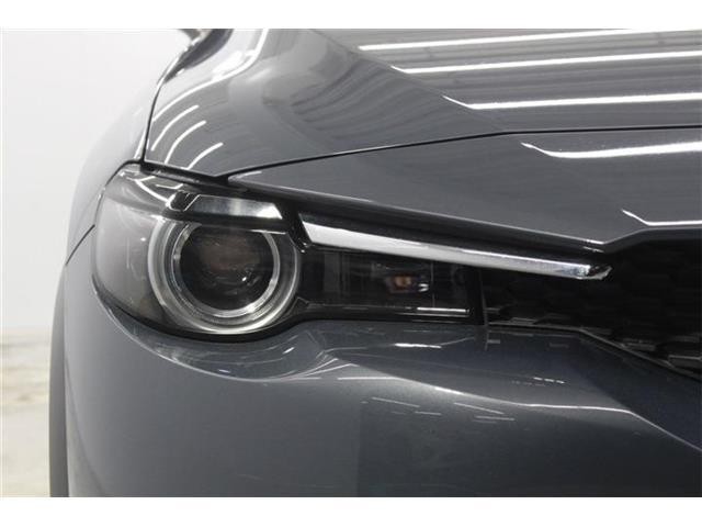 daf68d18e2e2bdbfe450e640e3647c01.jpg