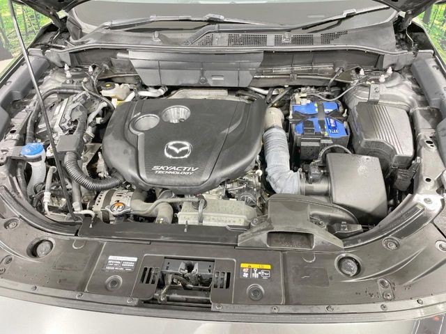 07de2ce371863cf8bdb0952fd39dd0e7.jpg