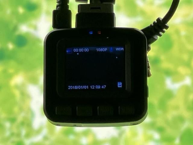25226337_carP_l_11.jpg