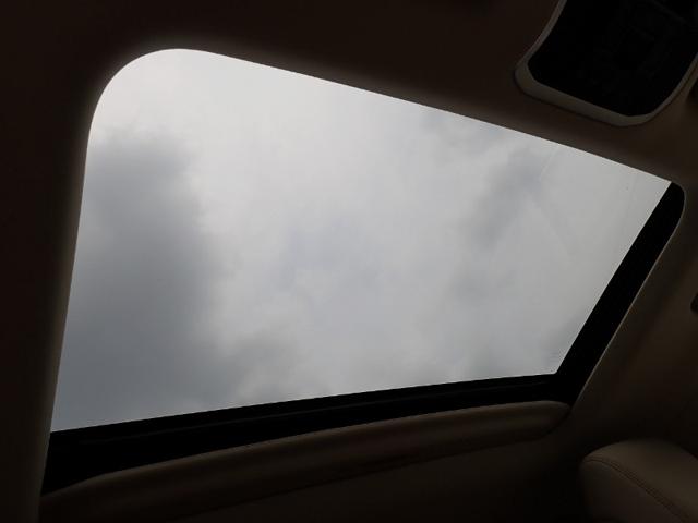 9527af49a0a32faa5589a50b0b8de1c3.jpeg
