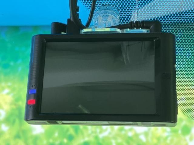 25308669_carP_l_12.jpg