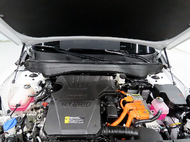 0900bdb7ed738a1d42fad8d6a6c69833.jpeg