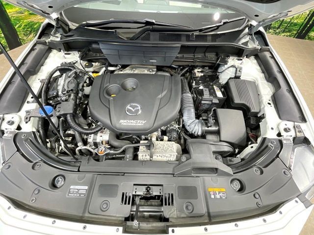 86e82e19be7ce040ba9c860520192e69.jpg