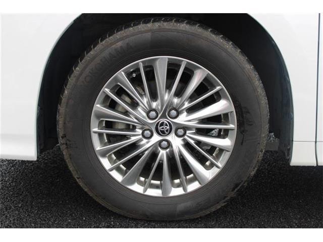 85ad14d1b7e5f85d669167b17156ffb4.jpg