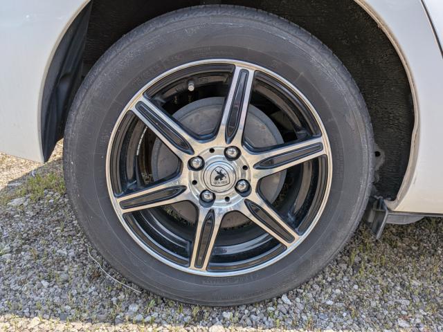 f356e574645e23cc1955854c64ce40c8.jpg