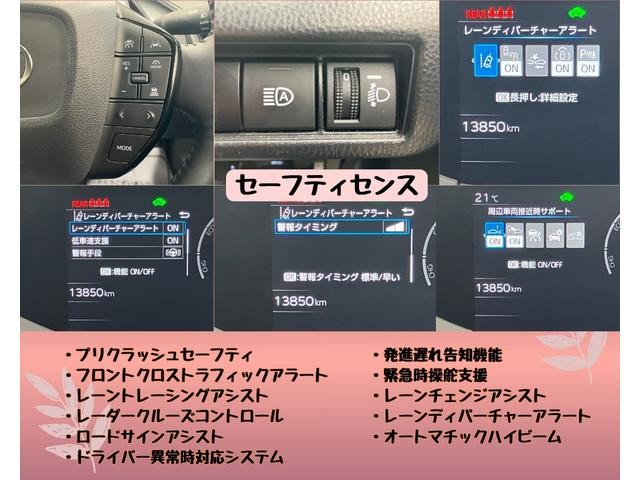 0206741A30261017W00217.jpg