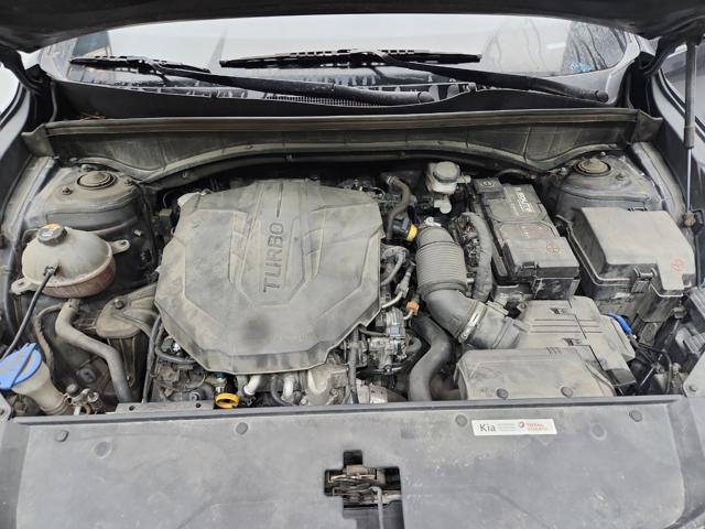 lotterental_212731663_td56I_3.jpg
