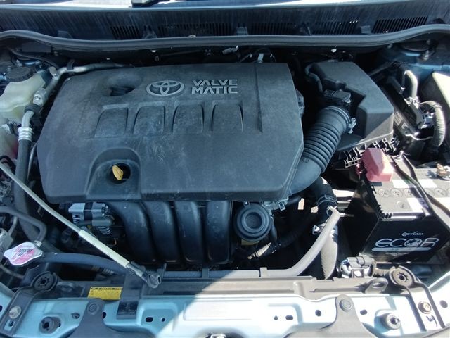 08.jpg