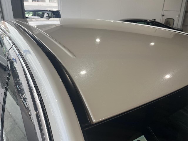 3d034b0ae0364e776985ce7372cb1477.jpg
