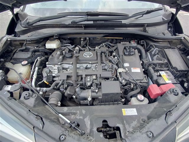 08.jpg