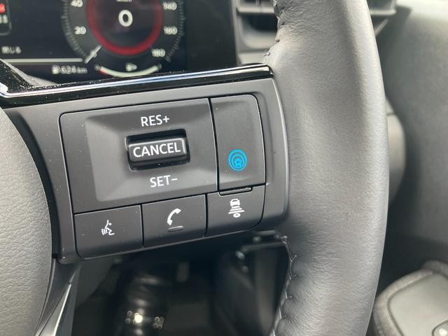 9031205A30260917W00209.jpg
