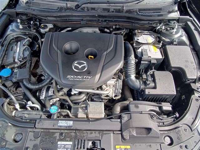08.jpg