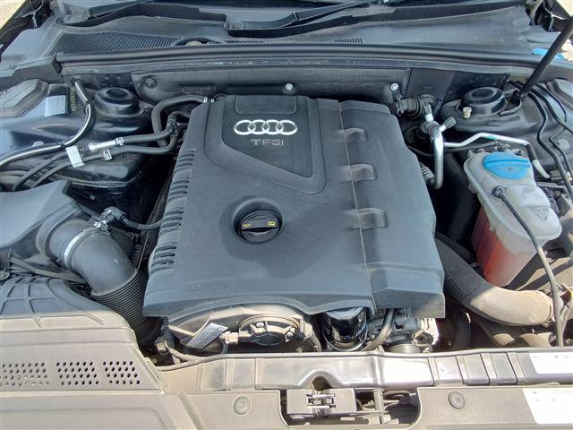 08.jpg