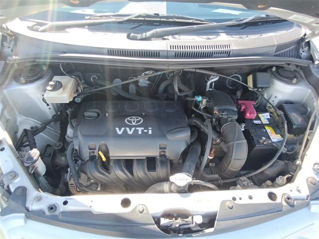 08.jpg