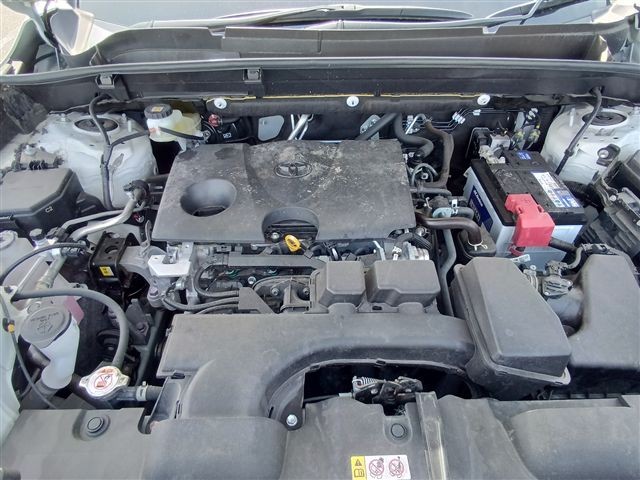 08.jpg