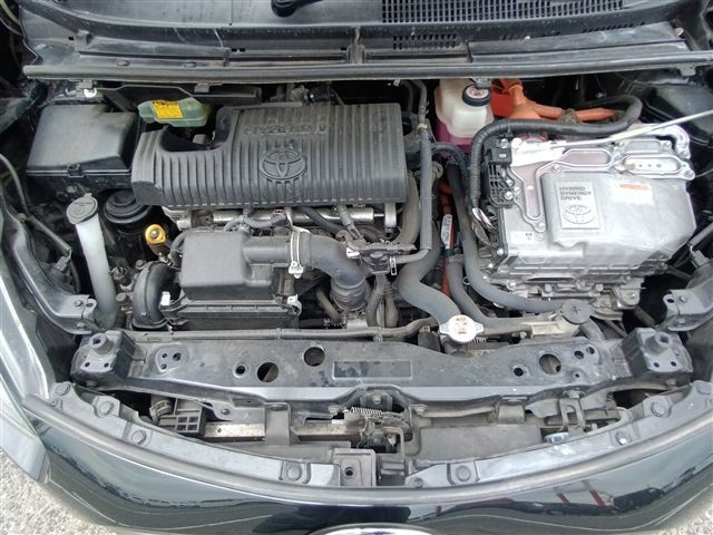 08.jpg