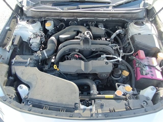 08.jpg