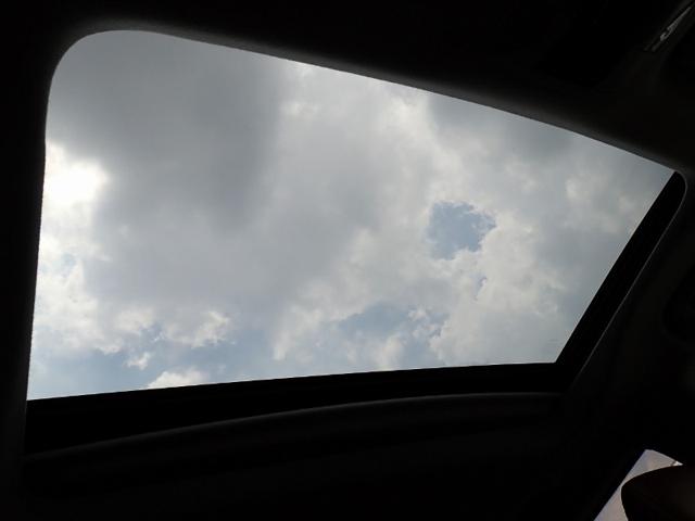 8c183ada72faa1827548415b7534bf42.jpeg
