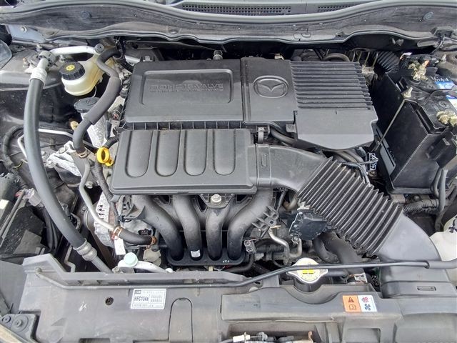 08.jpg