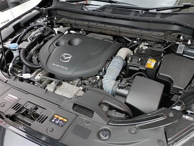 2f49ba93483b9c8391a2d5064d3b4896.jpg