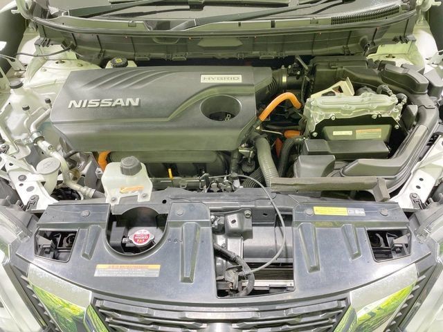 eca041623b24dd30141469ee3043620e.jpg