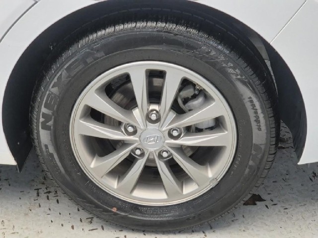 5121500923R20.jpg