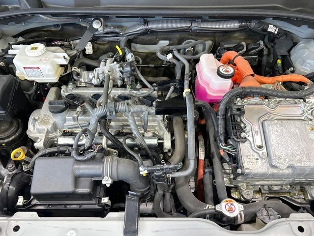 9707694759908e90eb0c74baf911249a.jpg